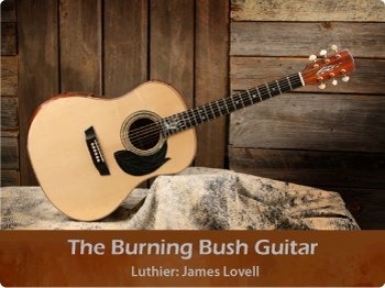 Burning Bush Guitar